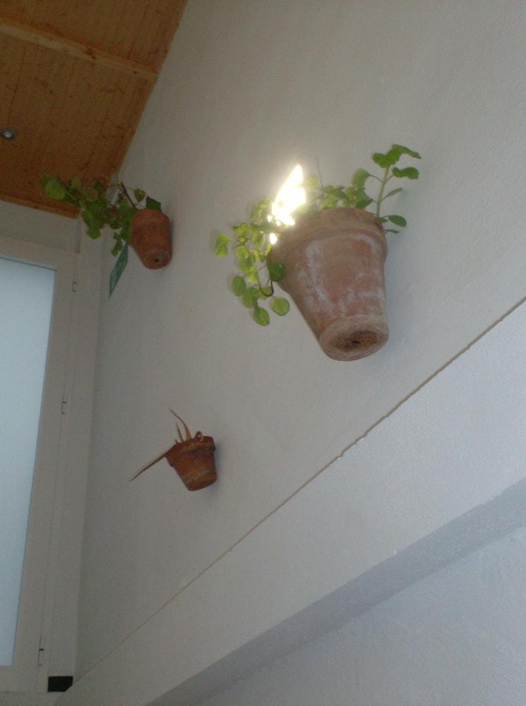Hotel Rural Rocio à El Rocío Extérieur photo